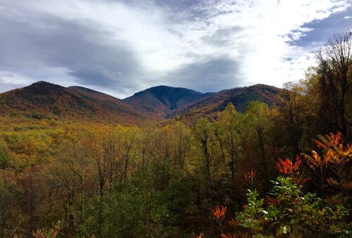 F1Campbell Overlook Jmar G Flickr.jpg